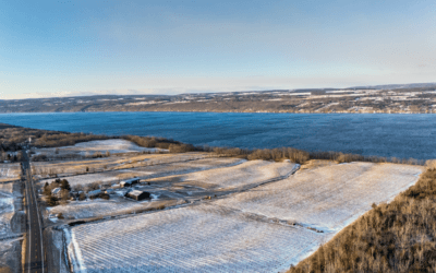 Why New York’s Finger Lakes is a Wine Region to Watch